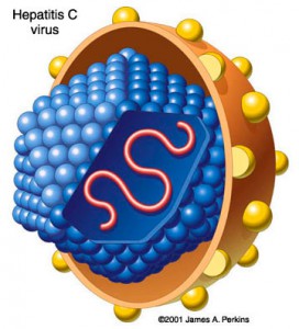 virusul hepatic C