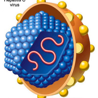 virusul hepatic C