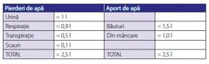 pierderi si aport de apa