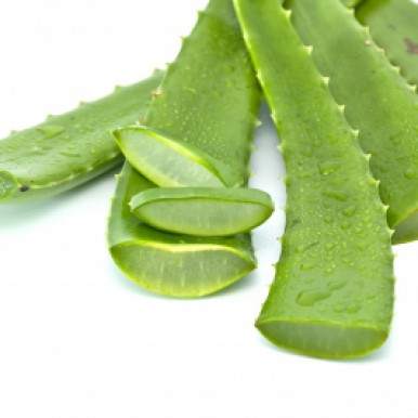 beneficiile plantei aloe vera