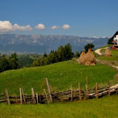 Conacul Boieresc, pensiune Bran