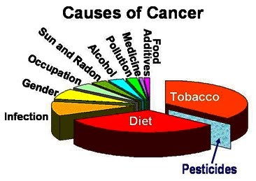 decesele cauzate de cancer in romania