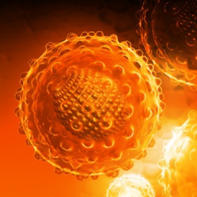 hepatita C virus hepatic