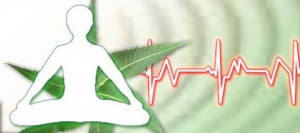 terapia ornish in boli cardiovasculare